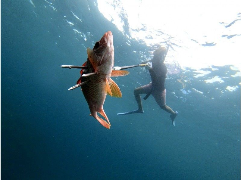 【石垣島発・海んちゅ体験】憧れの『獲ったどぉ〜！』石垣島で唯一！完全貸し切り船で魚突きシュノーケリング体験の紹介画像