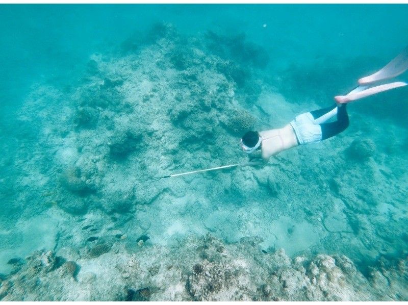 [Okinawa Ishigaki Island] Snorkeling with Sea Fishing by chartered boat!