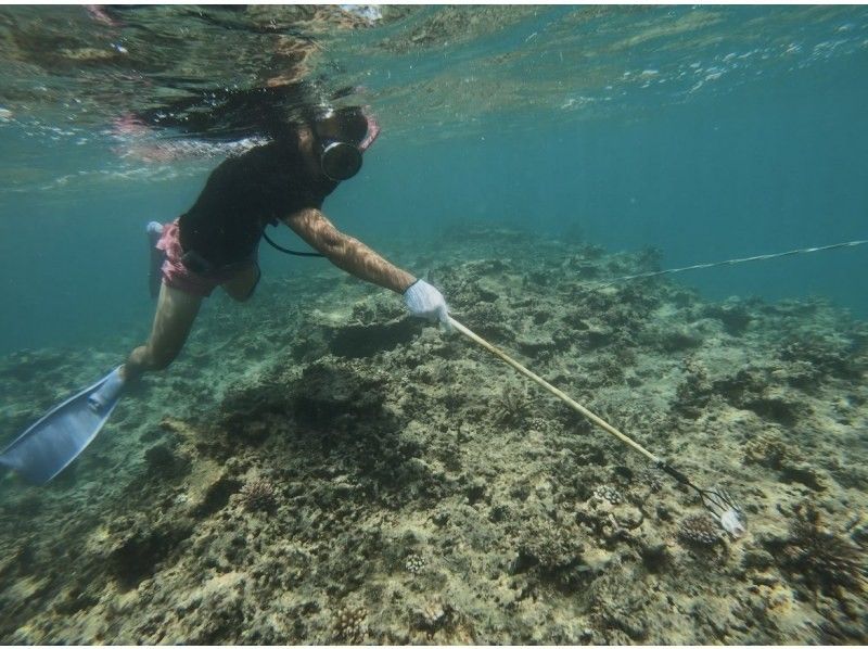 SALE! [Ishigaki Island - Sea Fishing Experience] The only snorkeling tour in Ishigaki Island where you can experience spearfishing on a fully chartered boat!の紹介画像