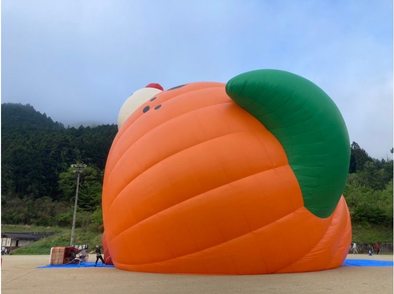 [爱媛/熊高原镇]一生都想骑一次！ ！！迈肯式热气球登机体验の紹介画像