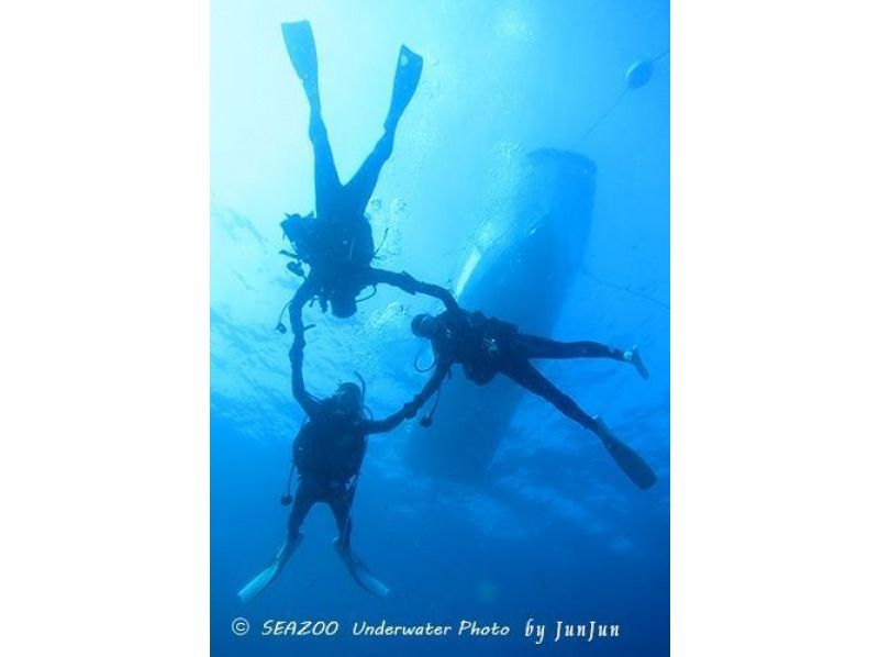 【高知·Sukumo】执照取得在柏岛有着丰富的自然风光！潜水员课程！の紹介画像