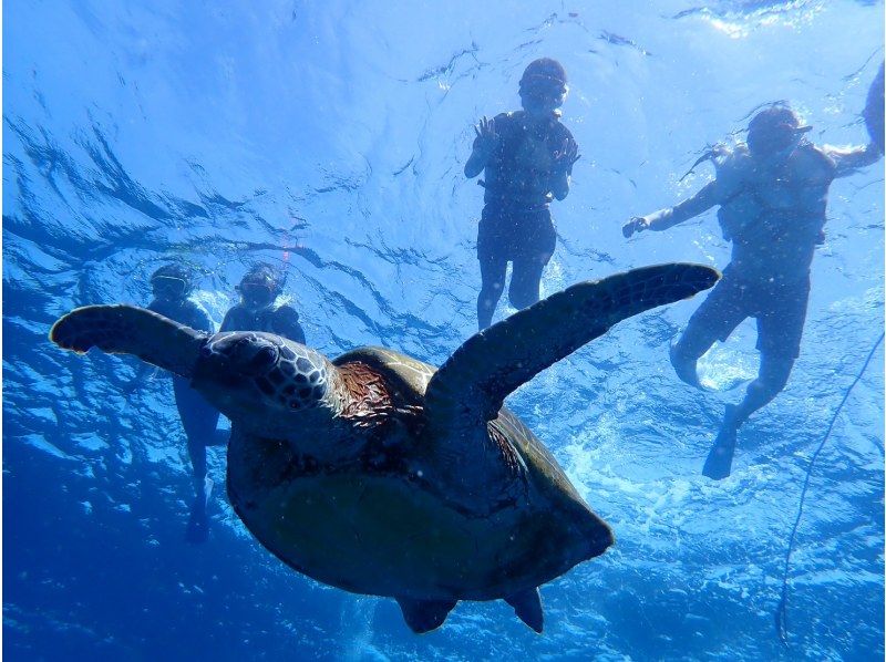 [Miyakojima/Irabujima] Tour on a glass board! A plan that includes the popular Blue Cave & sea turtle snorkeling + a spectacular view! ★Free photo data gift!の紹介画像