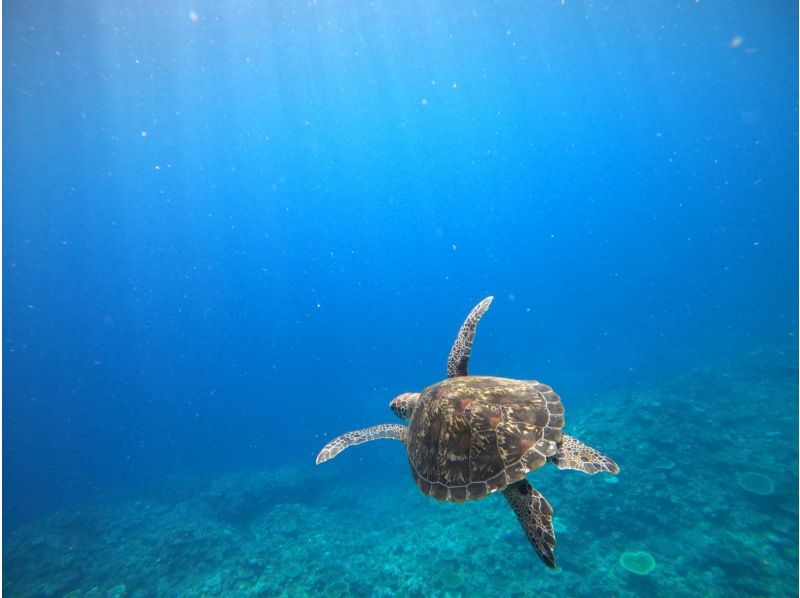 [Miyakojima/Irabujima] Tour on a glass board! A plan that includes the popular Blue Cave & sea turtle snorkeling + a spectacular view! ★Free photo data gift!の紹介画像