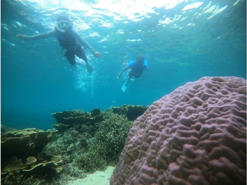 [Miyakojima/Irabujima] Tour on a glass board! A plan that includes the popular Blue Cave & sea turtle snorkeling + a spectacular view! ★Free photo data gift!の紹介画像