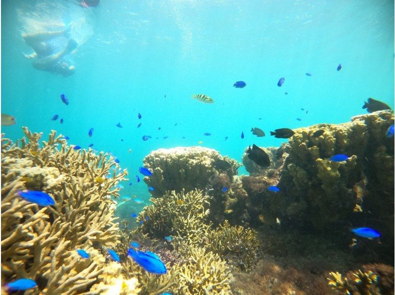 [Miyakojima/Irabujima] Tour on a glass board! A plan that includes the popular Blue Cave & sea turtle snorkeling + a spectacular view! ★Free photo data gift!の紹介画像