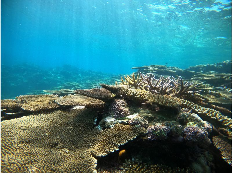 [Miyakojima/Irabujima] Tour on a glass board! A plan that includes the popular Blue Cave & sea turtle snorkeling + a spectacular view! ★Free photo data gift!の紹介画像