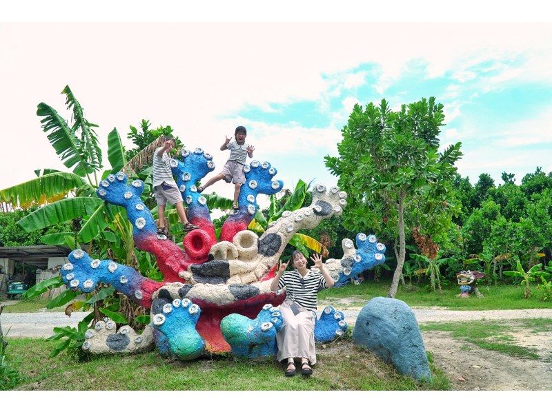 【先着5組様・絶景の連続にココロがトキメク♪観光しながらフォトツアー☆1組貸切の限定☆お得な4時間コースプラン♪の紹介画像