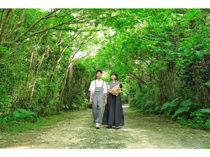 【先着5組様・絶景の連続にココロがトキメク♪観光しながらフォトツアー☆1組貸切の限定☆お得な4時間コースプラン♪の紹介画像