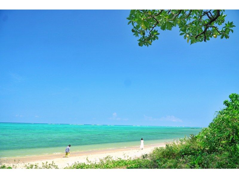 【先着5組様・絶景の連続にココロがトキメク♪観光しながらフォトツアー☆1組貸切の限定☆お得な4時間コースプラン♪の紹介画像