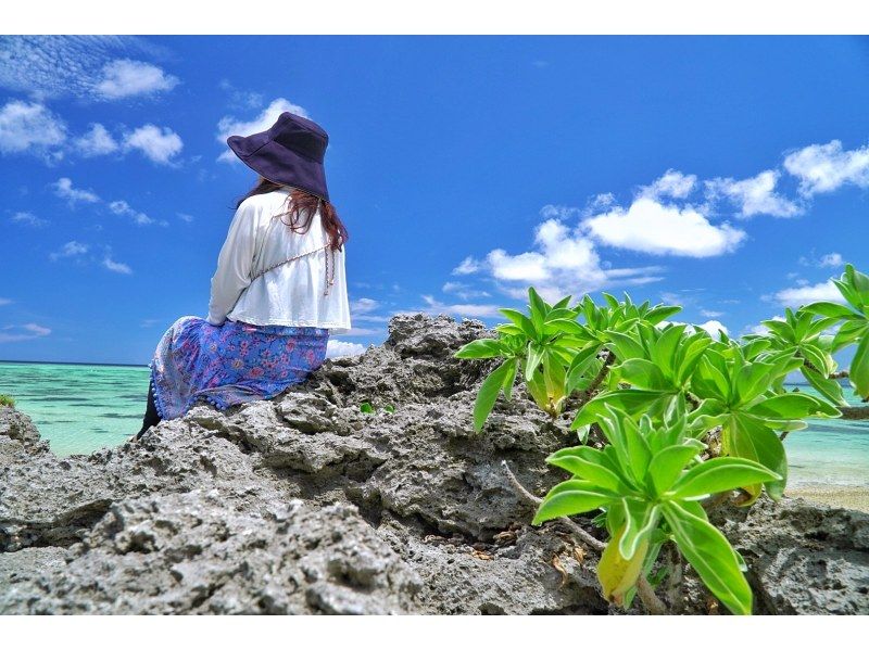 【先着5組様・絶景の連続にココロがトキメク♪観光しながらフォトツアー☆1組貸切の限定☆お得な4時間コースプラン♪の紹介画像