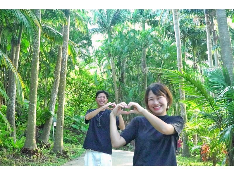 【先着5組様・絶景の連続にココロがトキメク♪観光しながらフォトツアー☆1組貸切の限定☆お得な4時間コースプラン♪の紹介画像