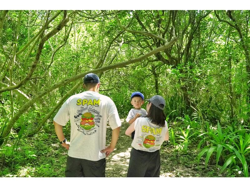 【先着5組様・絶景の連続にココロがトキメク♪観光しながらフォトツアー☆1組貸切の限定☆お得な4時間コースプラン♪の紹介画像