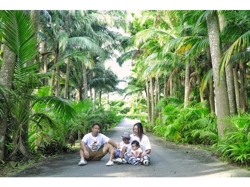 【先着5組様・絶景の連続にココロがトキメク♪観光しながらフォトツアー☆1組貸切の限定☆お得な4時間コースプラン♪の紹介画像