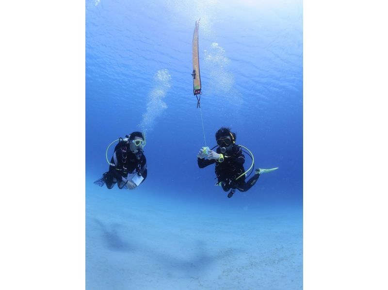 【東京・神奈川】2025年セール ☆PADI アドヴァンスセット☆送迎込み、Goldカード取得、レンタル無料、学科eラーニングで来店不要の紹介画像