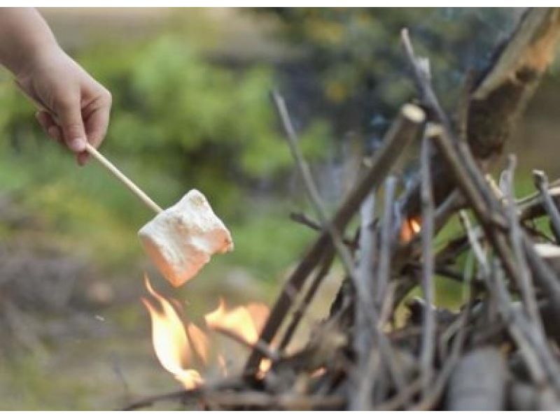 [Yamanashi, Lake Saiko] Spring Family Adventure! Special benefits for visitors in March: ・Receive a free marshmallow!の紹介画像