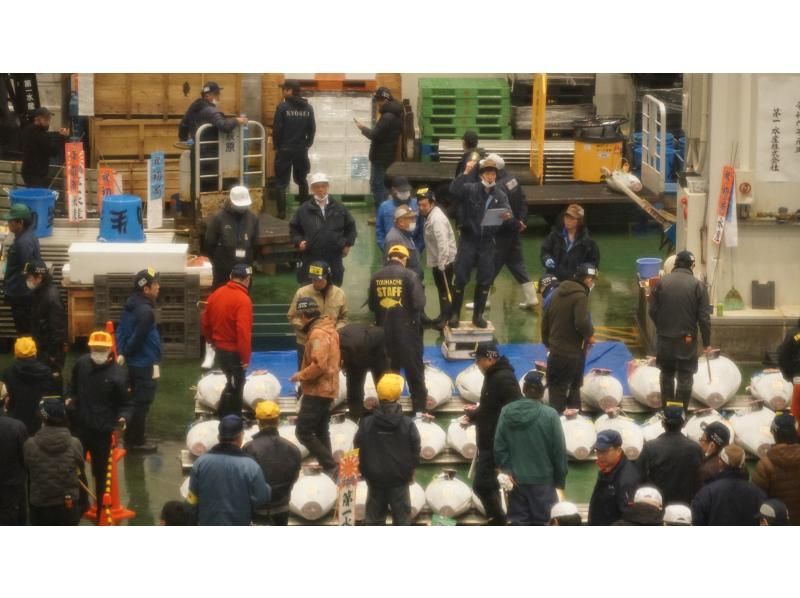 イヤホンガイド&reg;＆小冊子付♪｜豊洲市場マグロのセリ見学ツアー 朝イチ0455【東京・豊洲】の紹介画像