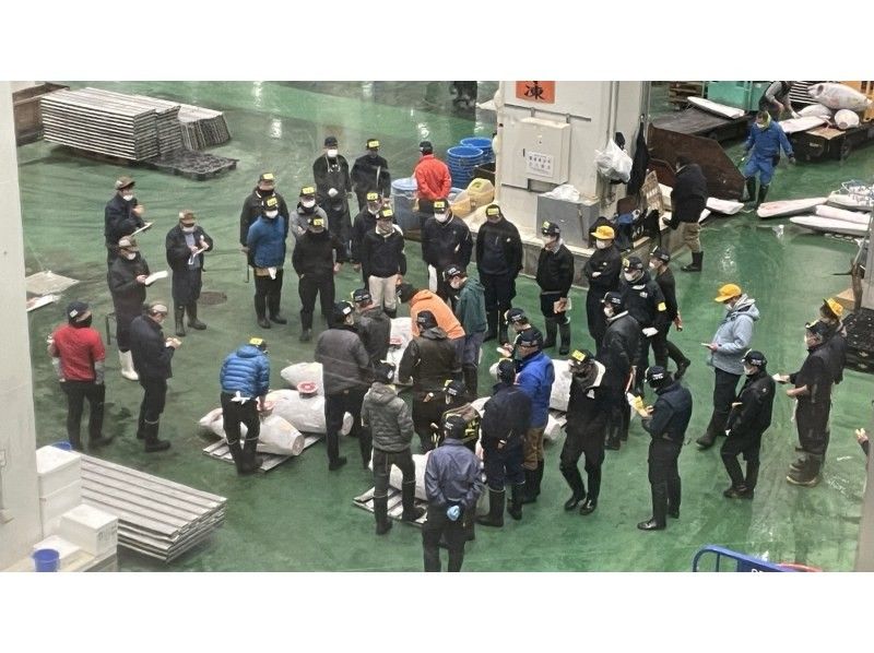 【東京・豊洲市場】豊洲市場マグロのセリ見学ツアー 朝イチ0455の紹介画像