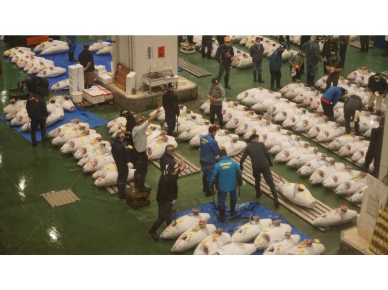 イヤホンガイド&reg;＆小冊子付♪｜豊洲市場マグロのセリ見学ツアー 朝イチ0455【東京・豊洲】の紹介画像