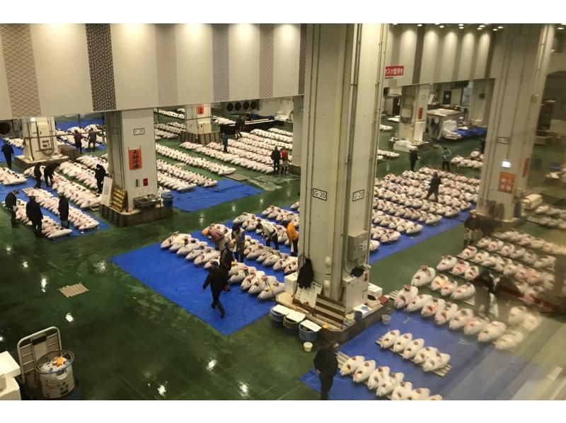 【東京・豊洲市場】豊洲市場マグロのセリ見学ツアー 朝イチ0455の紹介画像