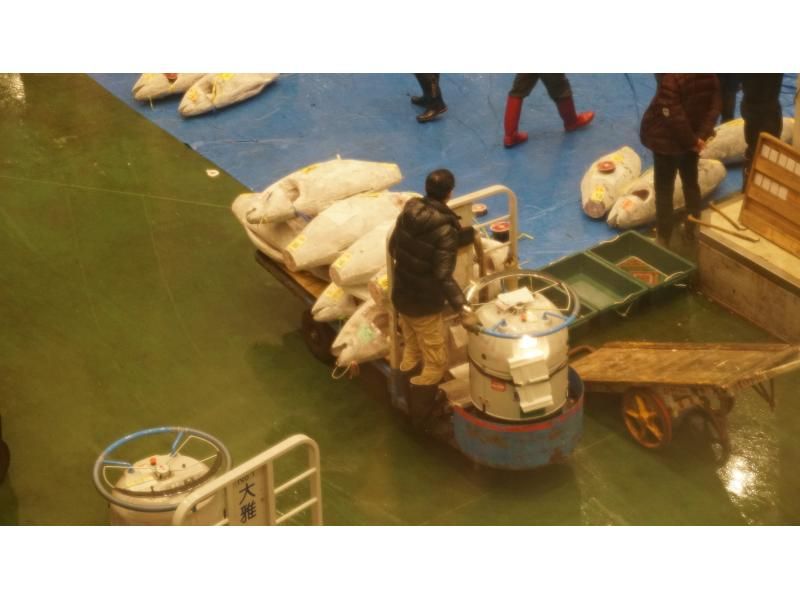 イヤホンガイド&reg;＆小冊子付♪｜豊洲市場マグロのセリ見学ツアー 朝イチ0455【東京・豊洲】の紹介画像