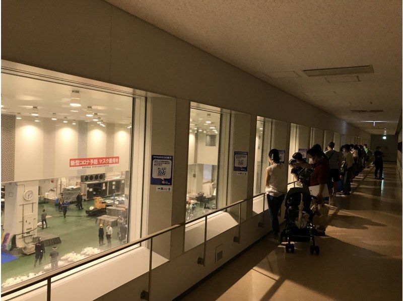 【東京・豊洲市場】豊洲市場マグロのセリ見学ツアー 朝イチ0455の紹介画像