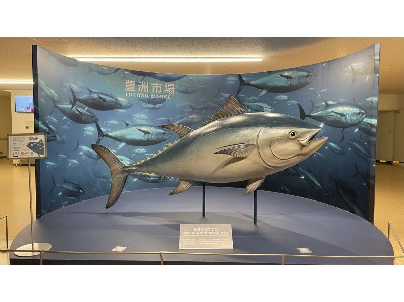 イヤホンガイド&reg;＆小冊子付♪｜豊洲市場マグロのセリ見学ツアー 朝イチ0455【東京・豊洲】の紹介画像