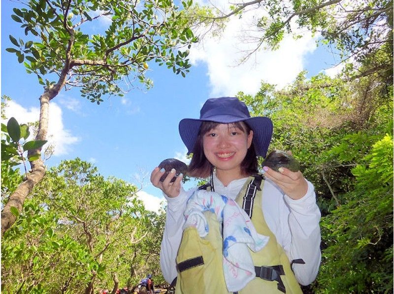 【沖縄・今帰仁】美ら海水族館に近いマングローブカヤック 湧き水で生物観察 2時間45分コースの紹介画像