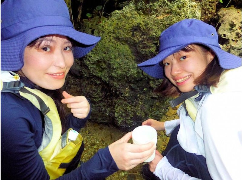 【沖縄・今帰仁】美ら海水族館に近いマングローブカヤック 湧き水で生物観察 2時間45分コースの紹介画像