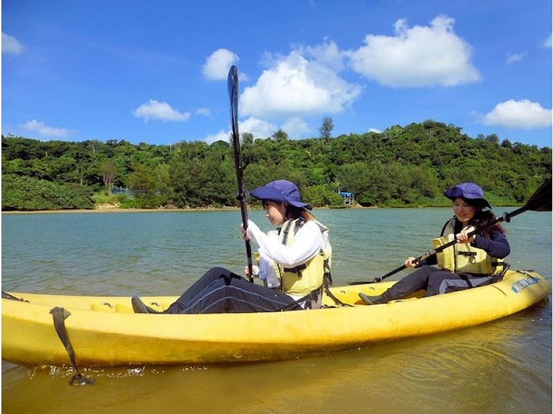 【沖縄・今帰仁】美ら海水族館に近いマングローブカヤック 湧き水で生物観察 2時間45分コースの紹介画像