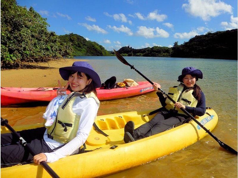 【沖縄・今帰仁】美ら海水族館に近いマングローブカヤック 湧き水で生物観察 2時間45分コースの紹介画像