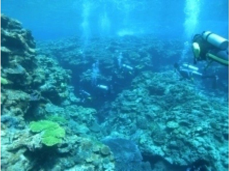[Iwate ・ Sanriku] Experience Divingの紹介画像