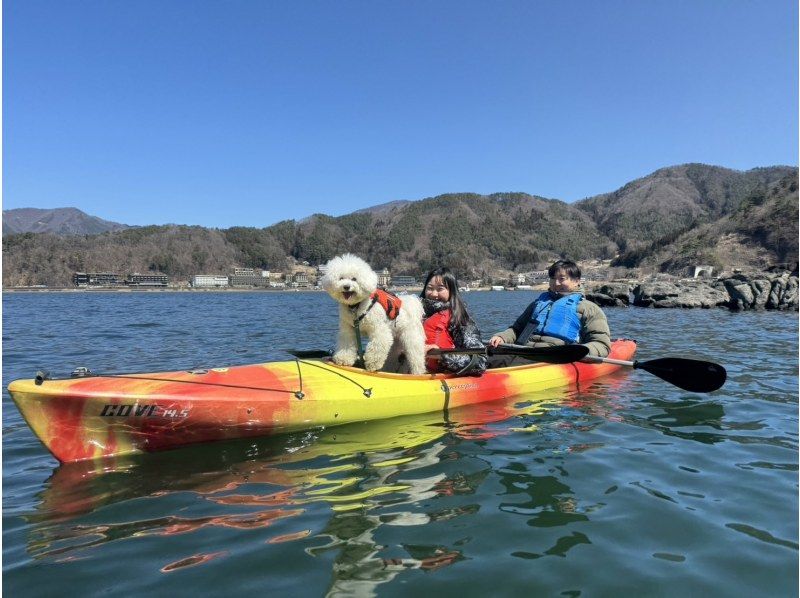 【山梨・河口湖】〈人気急上昇中〉湖上から富士山を満喫カヤックツアー！【写真データ無料】ワンちゃんも体験可！初心者の方大歓迎！の紹介画像