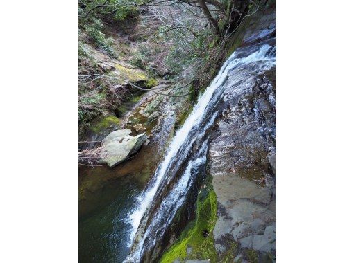 池玉瀾 秋景山水図｜古美術・掛け軸の販売・買取・鑑定-松本松栄堂