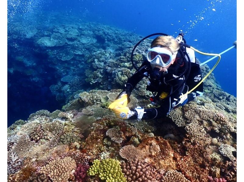 【沖縄・恩納村】《送迎 可能》【SDIアドバンスドアドベンチャーダイバー 】 教材 事前学習+海洋講習 2日間 ※送迎 範囲ありの紹介画像