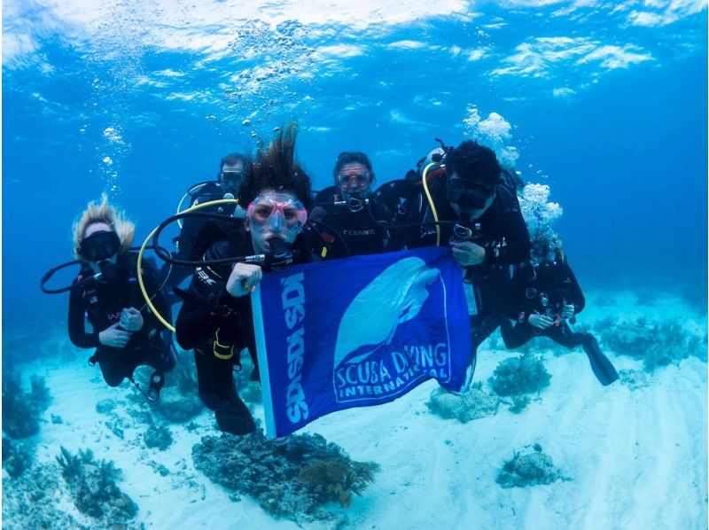 【沖縄・恩納村】《送迎 可能》【SDIアドバンスドアドベンチャーダイバー 】 教材 事前学習+海洋講習 2日間 ※送迎 範囲ありの紹介画像