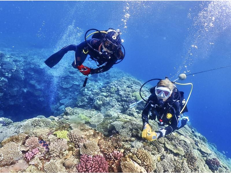 【沖縄・恩納村】《送迎 可能》【SDIアドバンスドアドベンチャーダイバー 】 教材 事前学習+海洋講習 2日間 ※送迎 範囲ありの紹介画像