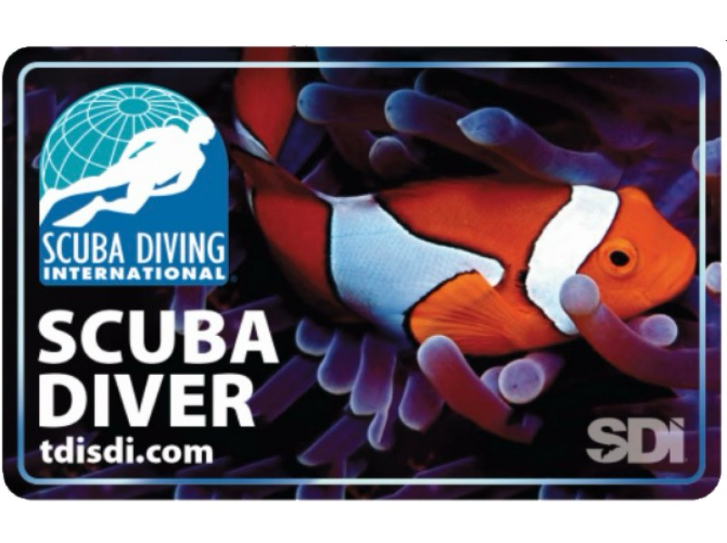 【沖縄・恩納村発】2日間ダイビングライセンス講習《送迎 可》青の洞窟ｵﾌﾟｼｮﾝあり★GoProデータプレゼント！事前学習+海洋講習2日の紹介画像