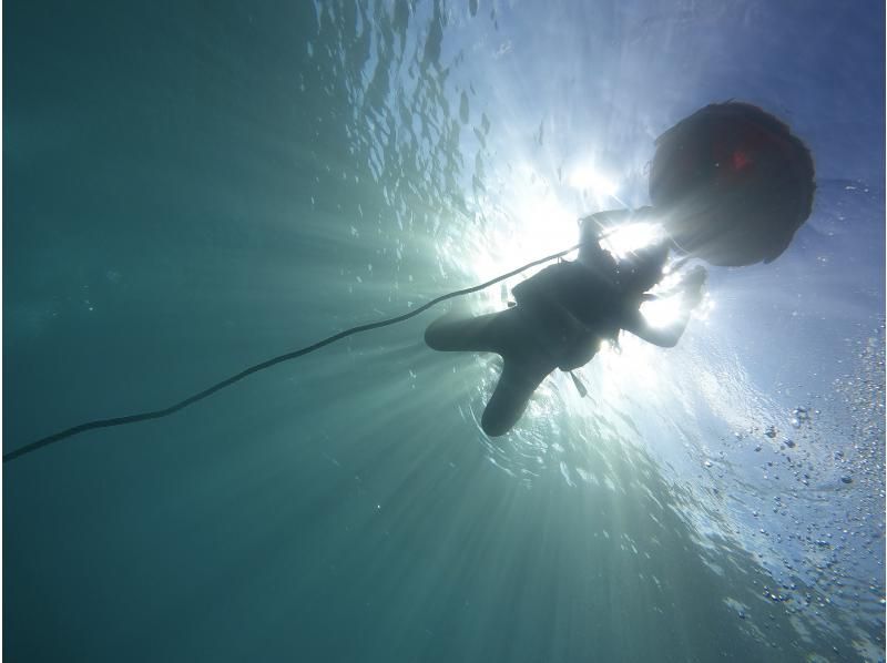【沖縄・恩納村発】2日間ダイビングライセンス講習《送迎 可》青の洞窟ｵﾌﾟｼｮﾝあり★GoProデータプレゼント！事前学習+海洋講習2日の紹介画像