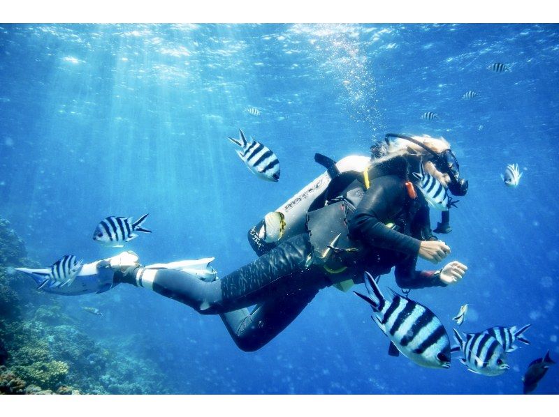 【沖縄・恩納村発】2日間ダイビングライセンス講習《送迎 可》青の洞窟ｵﾌﾟｼｮﾝあり★GoProデータプレゼント！事前学習+海洋講習2日の紹介画像