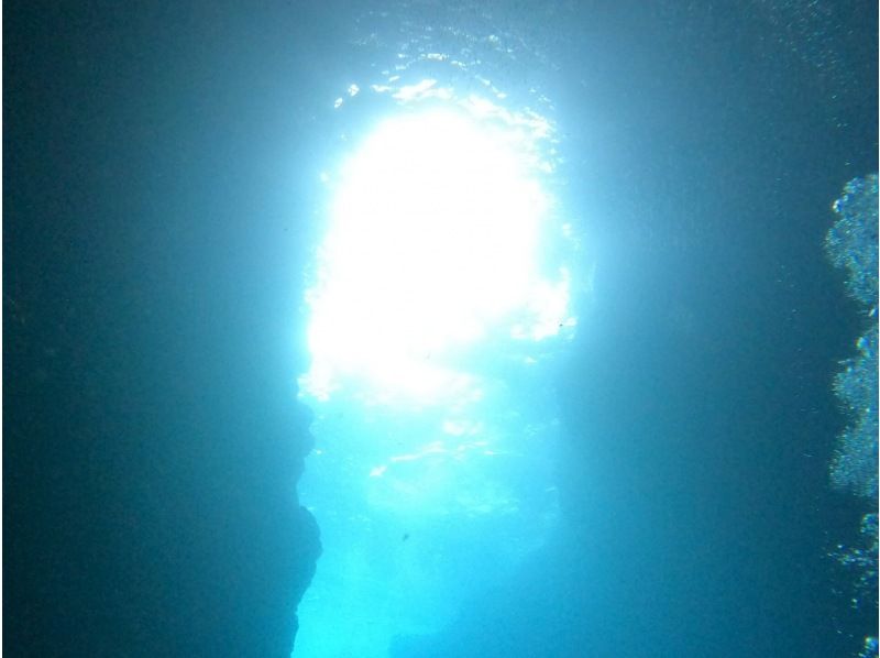 【沖縄・読谷村】《送迎可能》ジンベイザメ（ジンベエザメ)と会う＆青の洞窟を冒険する10歳からOKの体験ダイビング！※送迎範囲ありの紹介画像