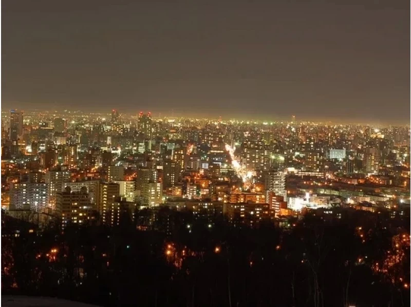 [北海道/札幌]包租观光出租车“札幌夜景灯饰之旅”到藻岩山和旭山纪念公园の紹介画像