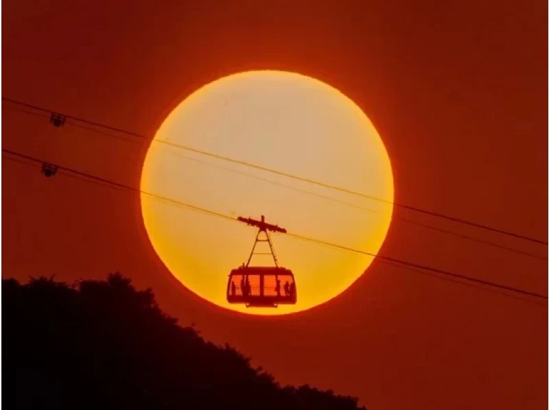 [北海道/札幌]包租观光出租车“札幌夜景灯饰之旅”到藻岩山和旭山纪念公园の紹介画像