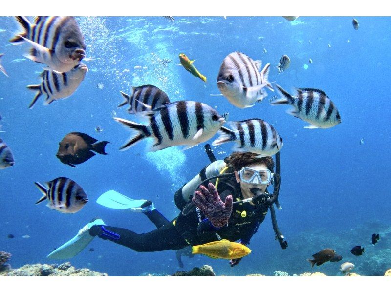 真栄田岬周辺(青の洞窟)2ボートファンダイビング【沖縄・恩納村】《送迎 可能》※送迎範囲あり★GoPro撮影データ無料プレゼントの紹介画像