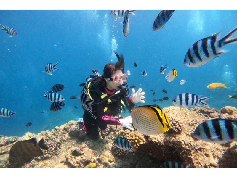 真栄田岬周辺(青の洞窟)2ボートファンダイビング【沖縄・恩納村】《送迎 可能》※送迎範囲あり★GoPro撮影データ無料プレゼントの紹介画像