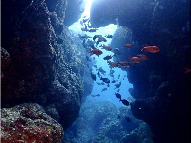 真栄田岬周辺(青の洞窟)2ボートファンダイビング【沖縄・恩納村】《送迎 可能》※送迎範囲あり★GoPro撮影データ無料プレゼントの紹介画像