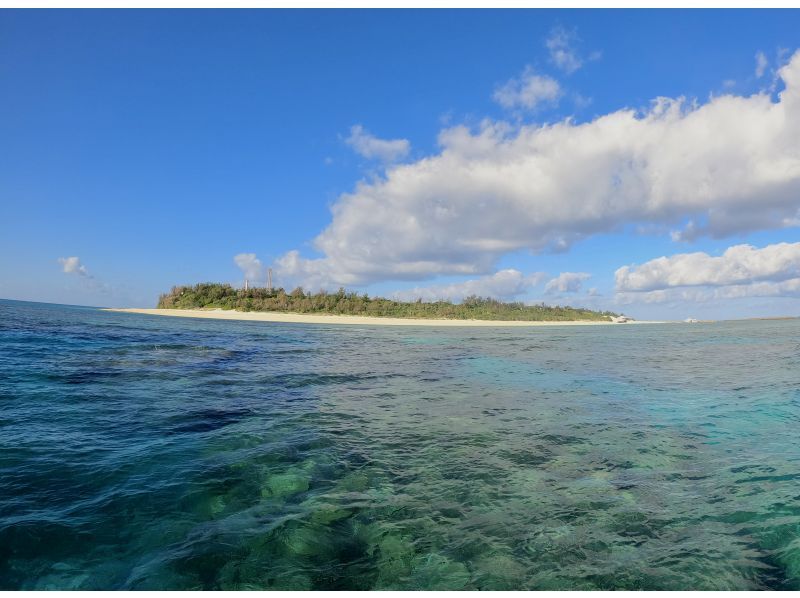 【沖縄・水納島/瀬底島】《送迎 可能》2ボート ファンダイビング※送迎範囲ありの紹介画像