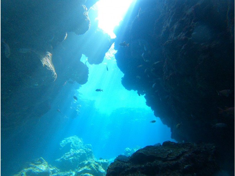 【沖縄・水納島/瀬底島】《送迎 可能》2ボート ファンダイビング※送迎範囲ありの紹介画像