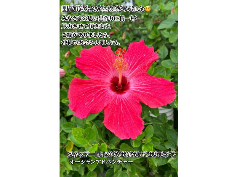 【沖縄・水納島/瀬底島】《送迎 可能》2ボート ファンダイビング※送迎範囲ありの紹介画像