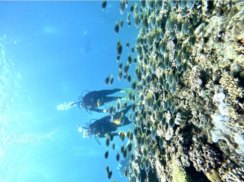 万座2ボートファンダイビング【沖縄・恩納村】《送迎 可能》※送迎範囲あり★GoPro撮影データ無料プレゼントの紹介画像