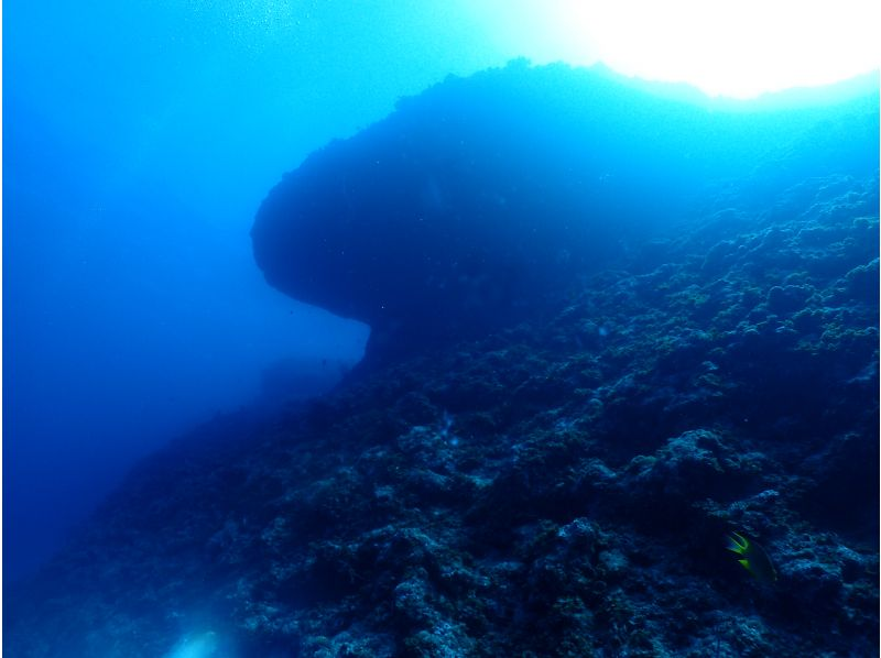 万座2ボートファンダイビング【沖縄・恩納村】《送迎 可能》※送迎範囲あり★GoPro撮影データ無料プレゼントの紹介画像